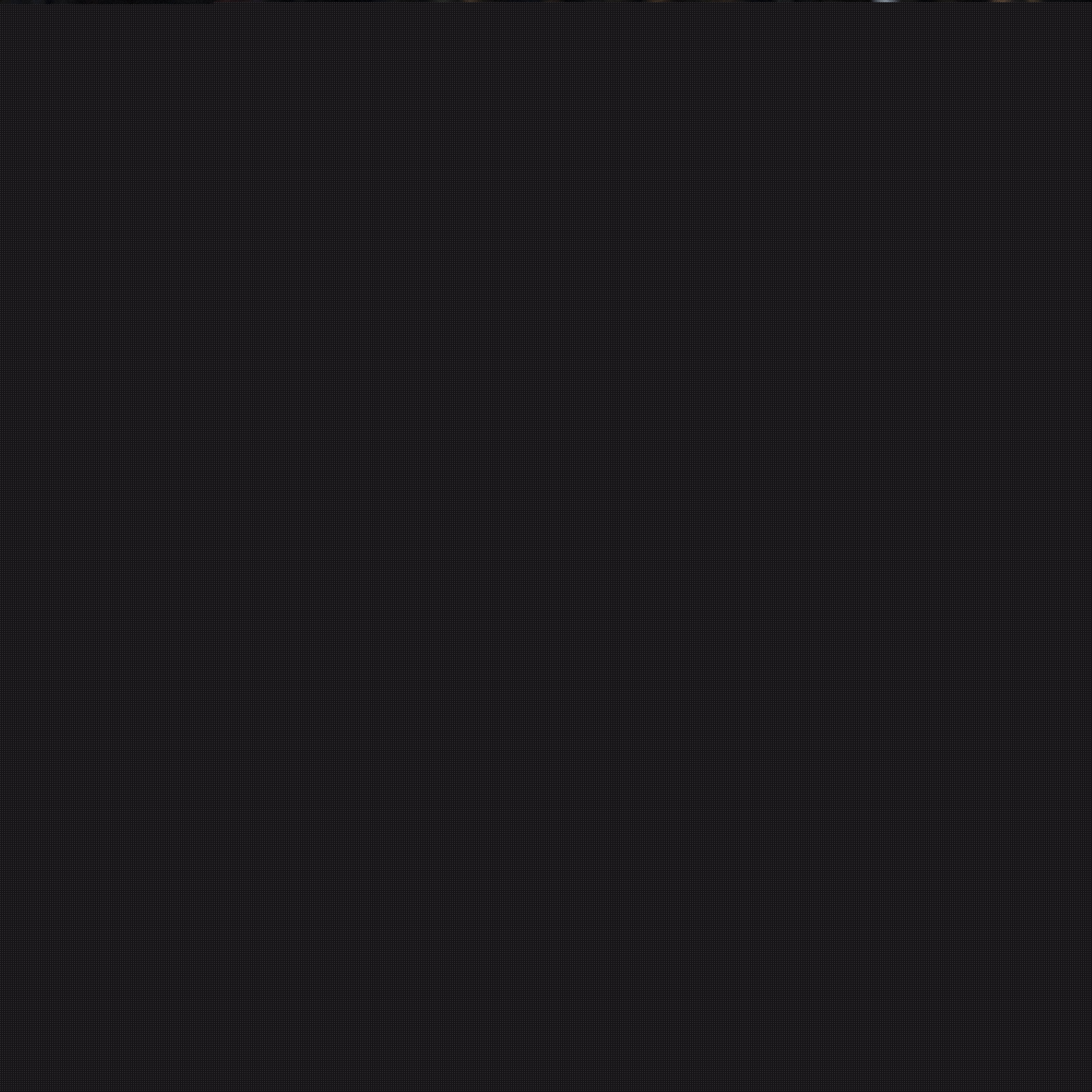 在接下来的